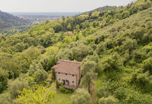 La Casa Dei Limoni, Camaiore, Pet Friendly, Wifi: Autumn, Scenic View, Spring, Summer