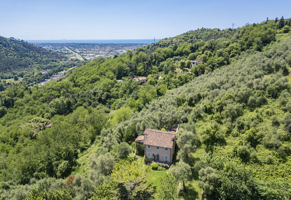 La Casa Dei Limoni, Camaiore, Pet Friendly, Wifi: Autumn, Building Exterior, Spring, Summer