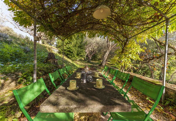 La Casa Dei Limoni, Camaiore, Pet Friendly, Wifi: Autunno, Estate, Giardino, Primavera