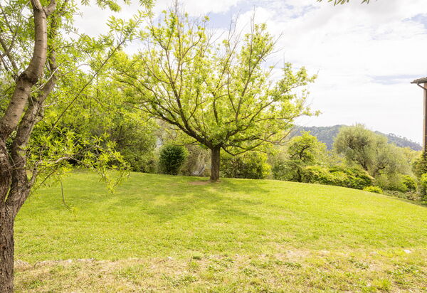 La Casa Dei Limoni, Camaiore, Pet Friendly, Wifi: Autumn, Garden, Spring, Summer