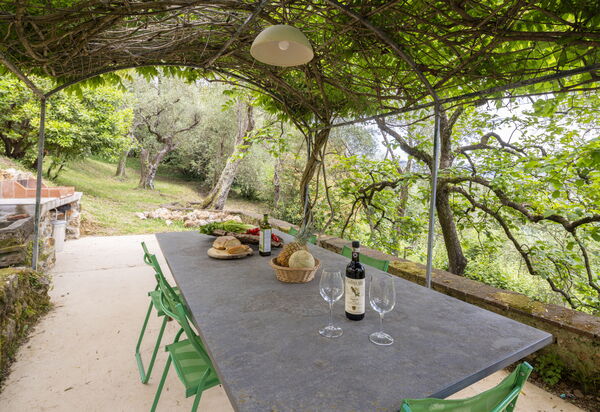 La Casa Dei Limoni, Camaiore, Pet Friendly, Wifi: Autumn, Garden, Spring, Summer