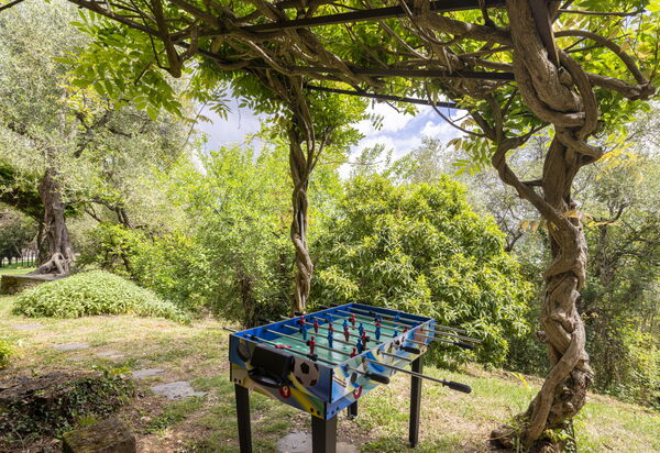 La Casa Dei Limoni, Camaiore, Pet Friendly, Wifi: Autumn, Garden, Spring, Summer