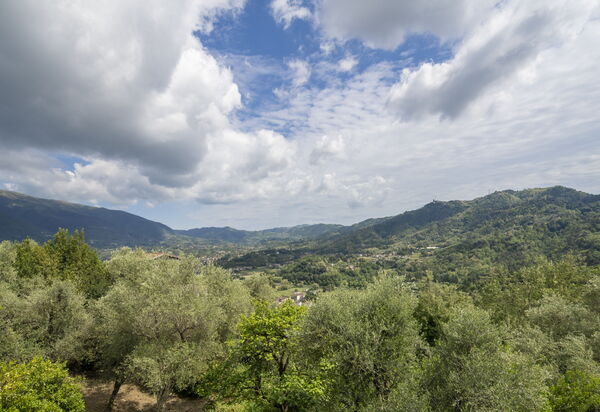La Casa Dei Limoni, Camaiore, Pet Friendly, Wifi: Autumn, Scenic View, Spring, Summer