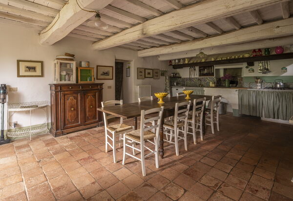 La Casa Dei Limoni, Camaiore, Pet Friendly, Wifi: Autumn, Kitchen, Spring, Summer