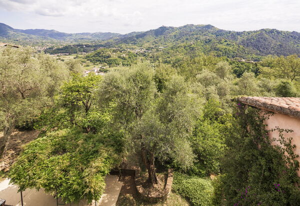 La Casa Dei Limoni, Camaiore, Pet Friendly, Wifi: Autumn, Garden, Scenic View, Spring, Summer