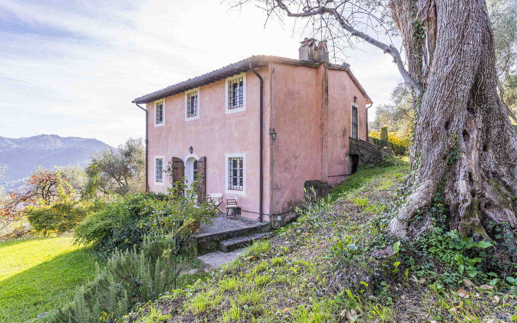 La Casa Dei Limoni, Camaiore, Pet Friendly, Wifi: Autumn, Building Exterior, Spring, Summer