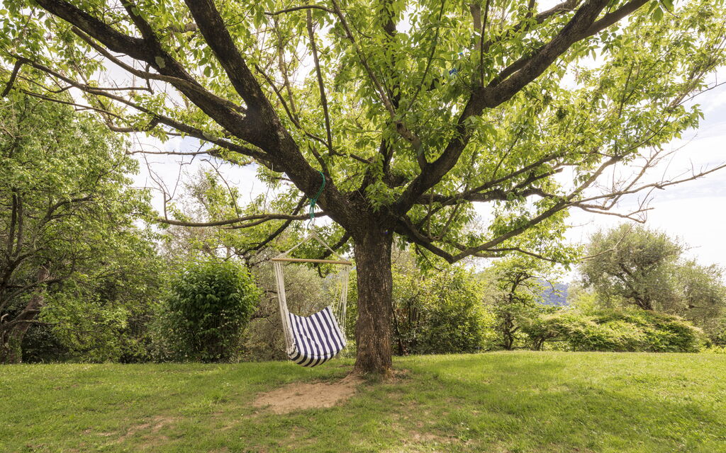 La Casa Dei Limoni, Camaiore, Pet Friendly, Wifi: Autunno, Estate, Giardino, Primavera
