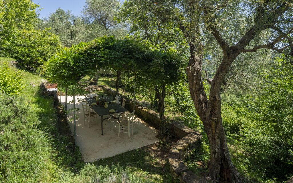 La Casa Dei Limoni, Camaiore, Pet Friendly, Wifi: Autunno, Estate, Esterni, Primavera