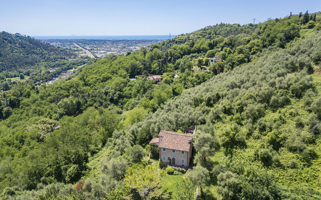 La Casa Dei Limoni, Camaiore, Pet Friendly, Wifi: Autunno, Estate, Esterni, Primavera