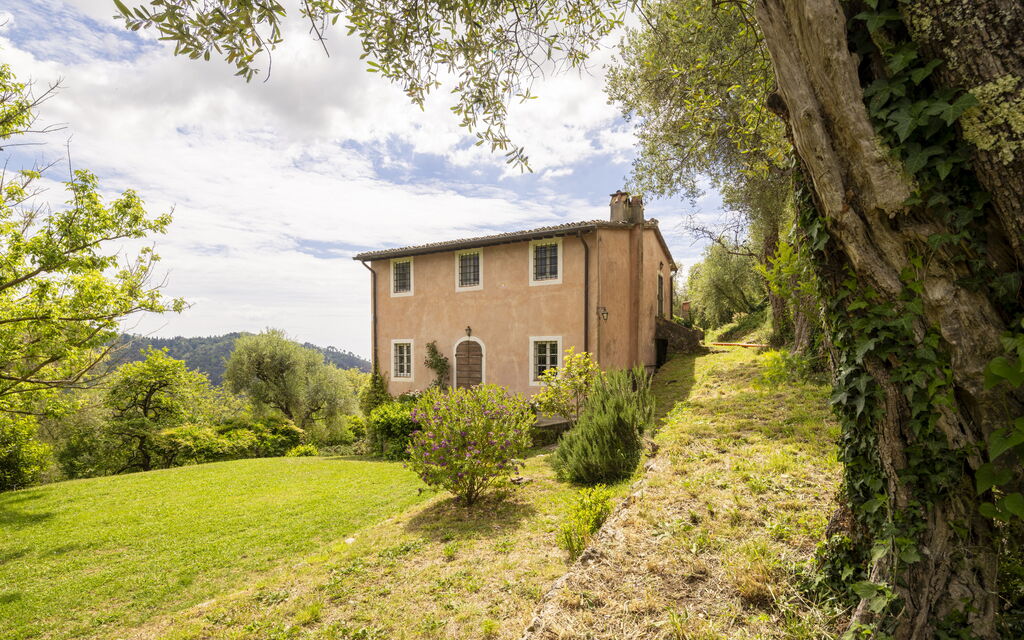 La Casa Dei Limoni, Camaiore, Pet Friendly, Wifi: Autunno, Estate, Giardino, Primavera
