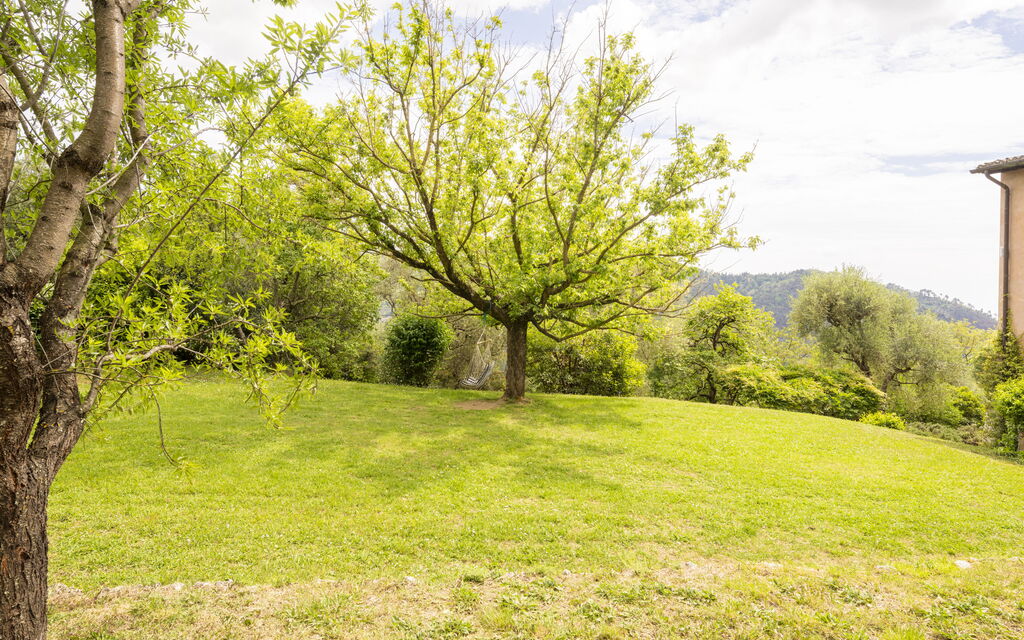 La Casa Dei Limoni, Camaiore, Pet Friendly, Wifi: Autunno, Estate, Giardino, Primavera