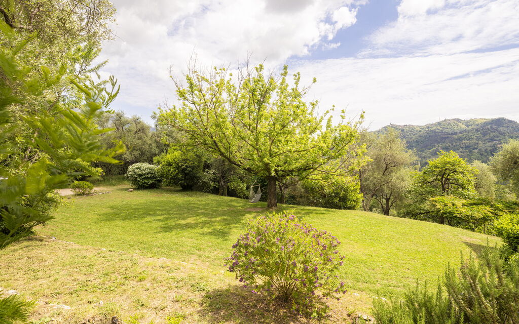 La Casa Dei Limoni, Camaiore, Pet Friendly, Wifi: Autunno, Estate, Giardino, Primavera