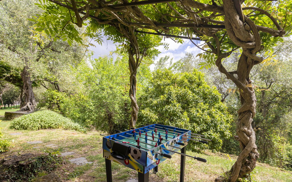 La Casa Dei Limoni, Camaiore, Pet Friendly, Wifi: Autunno, Estate, Giardino, Primavera