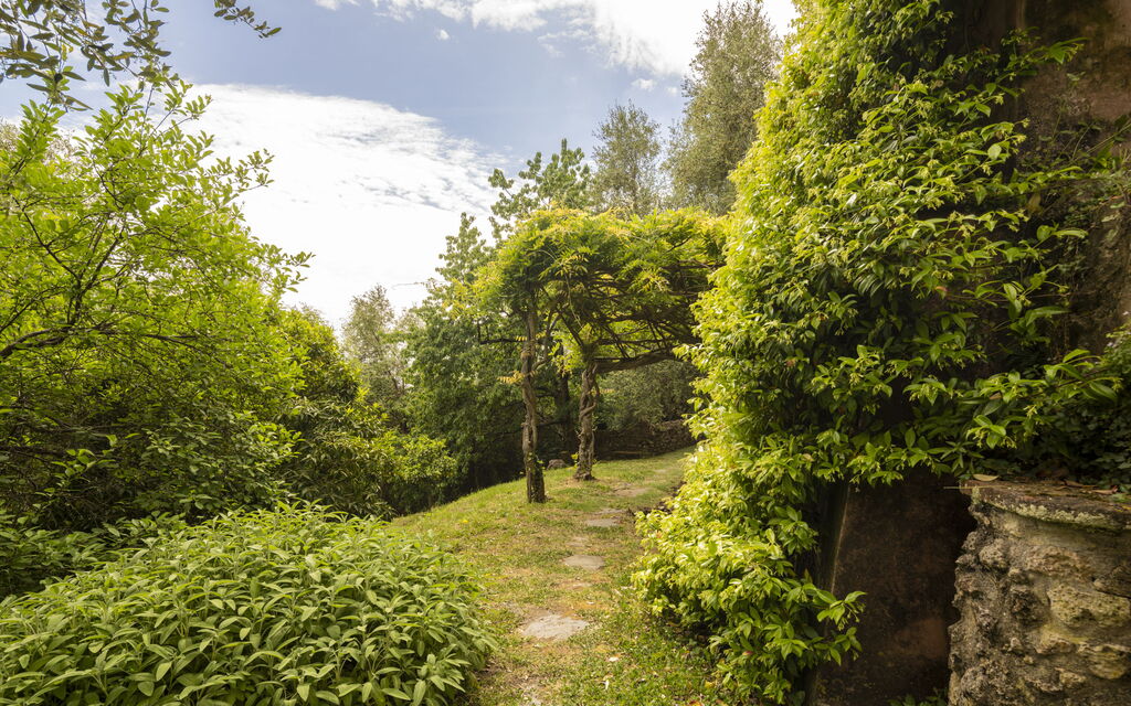 La Casa Dei Limoni, Camaiore, Pet Friendly, Wifi: Autunno, Estate, Giardino, Primavera