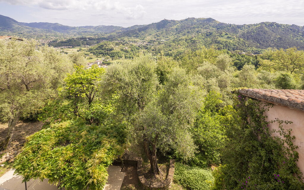 La Casa Dei Limoni, Camaiore, Pet Friendly, Wifi: Autunno, Estate, Giardino, Primavera