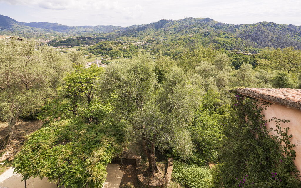 La Casa Dei Limoni, Camaiore, Pet Friendly, Wifi: Autunno, Estate, Giardino, Primavera, Vista Panoramica