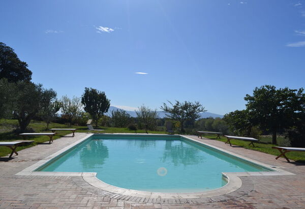 Country House Style - Montefiascone, Lazio: Autunno, Estate, Esterni, Piscina, Primavera