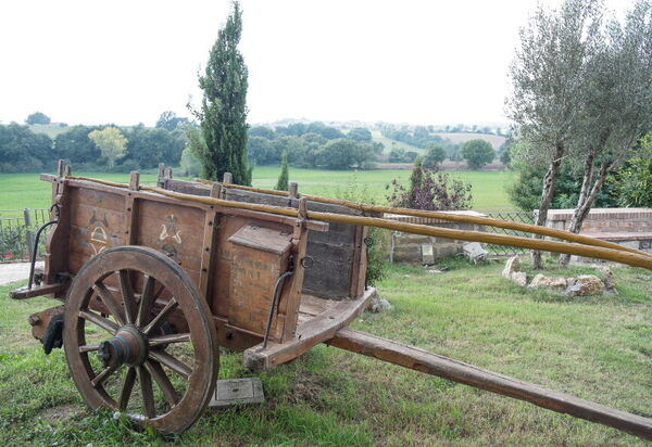 Country House Style - Montefiascone, Lazio: Autunno, Estate, Esterni, Primavera