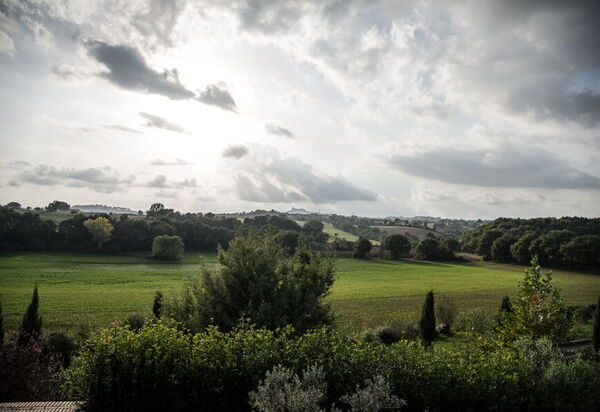 Country House Style - Montefiascone, Lazio: Autunno, Estate, Esterni, Primavera