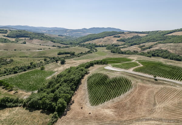 Podere Tesoro - Radicondoli, Toscana: Autunno, Estate, Esterni, Primavera
