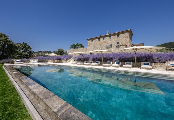 Podere Tesoro - Radicondoli, Toscana: Autunno, Estate, Esterni, Piscina, Primavera