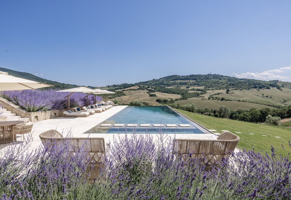 Podere Tesoro - Radicondoli, Toscana: Autunno, Estate, Esterni, Piscina, Primavera
