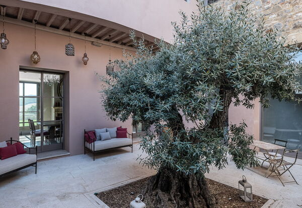 Podere Tesoro - Radicondoli, Toscana: Autunno, Estate, Esterni, Primavera