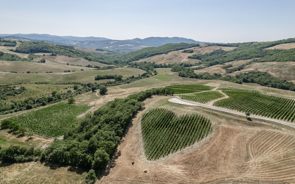 Podere Tesoro - Radicondoli, Toscana: Autunno, Estate, Esterni, Primavera