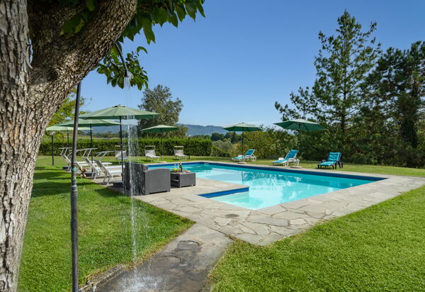 Tenuta Monti: Pool