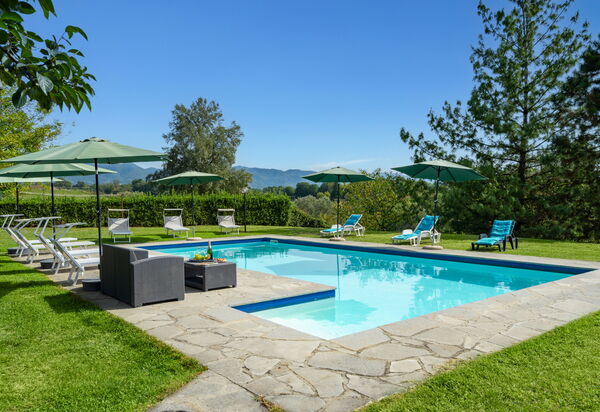 Tenuta Monti: Pool