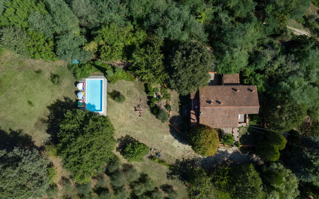 Casa Corella: all'aperto, Estate, Esterni, Giardino, Piscina