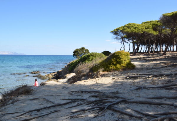 Villa Helios - Budoni, Sardegna: Attività, Autunno, Estate, Primavera