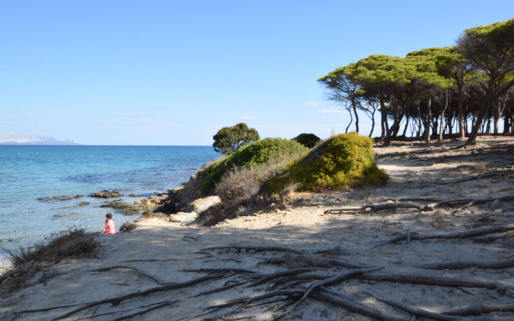 Villa Helios - Budoni, Sardegna: Attività, Autunno, Estate, Primavera