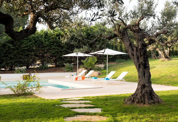Casa Fiore - Salemi, Sicilia: all'aperto, Autunno, Balcone / Terrazza / Patio, Estate, Esterni, Giardino, Piscina, Primavera