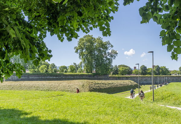 Lucca Old Town Apartment - Lucca, Toscana: all'aperto, Attività, Autunno, Estate, Primavera