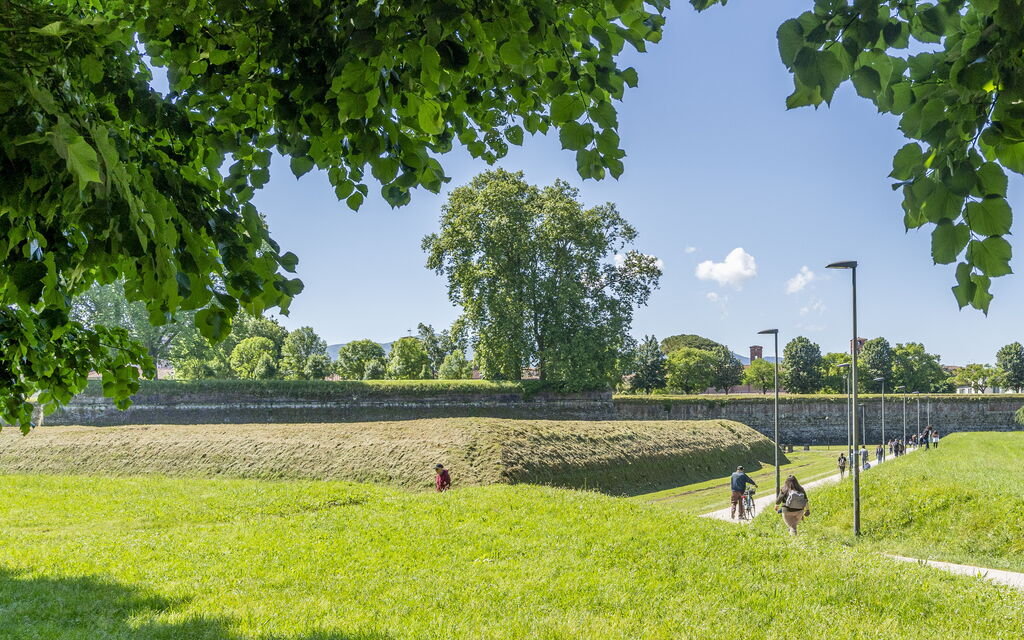 Lucca Old Town Apartment - Lucca, Toscana: Activities, Autumn, Outdoor, Spring, Summer