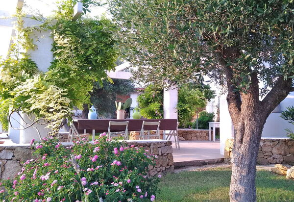 Villa Trullo - Torricella, Puglia: all'aperto, Autunno, Balcone / Terrazza / Patio, Estate, Esterni, Giardino, Primavera