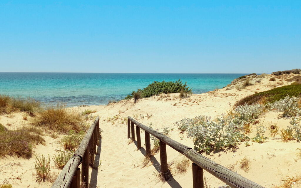 Villa Trullo - Torricella, Puglia: all'aperto, Autunno, Caratteristiche, Estate, Esterni, Primavera