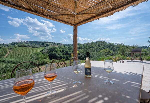 Correggiolo Spereto Apartment With Pool, Montaione: Autunno, Estate, Piscina, Primavera